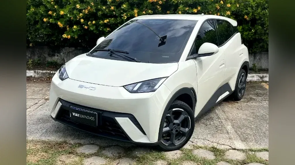 Foto de um byd dolphin mini