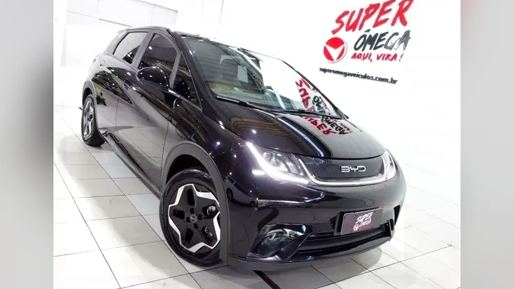 Foto de um byd dolphin