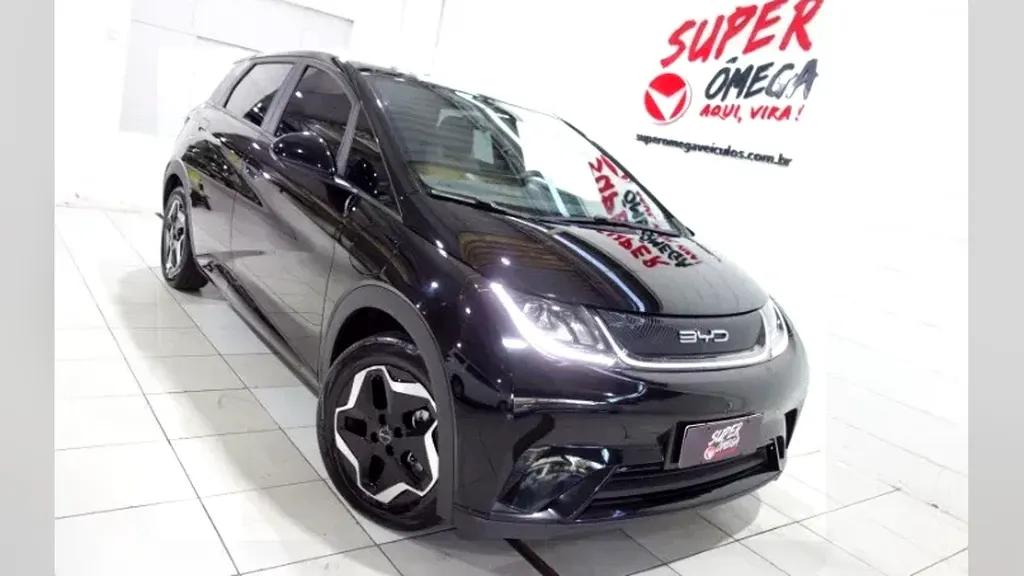 Foto de um byd dolphin