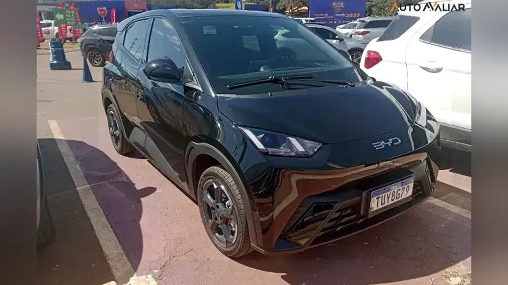 Foto de um byd dolphin mini