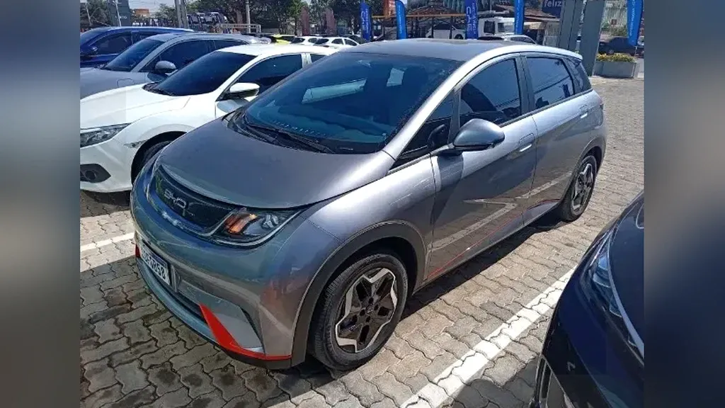Foto de um byd dolphin