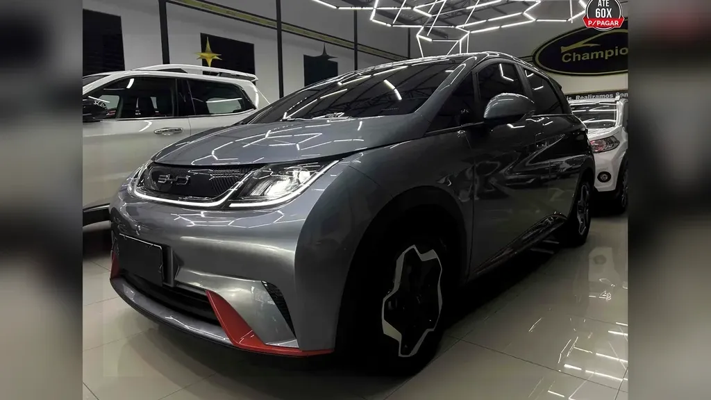 Foto de um byd dolphin