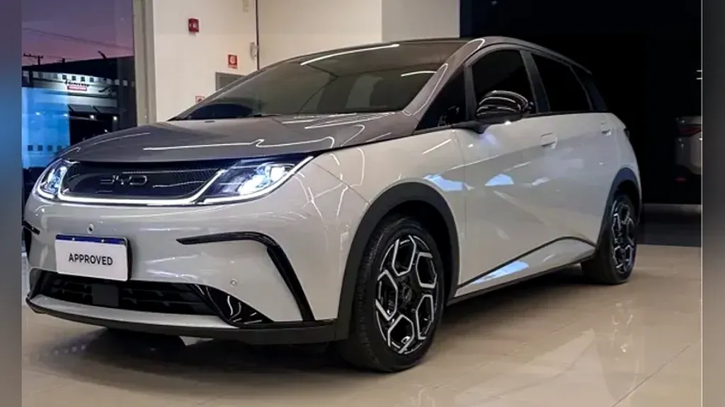 Foto de um byd dolphin