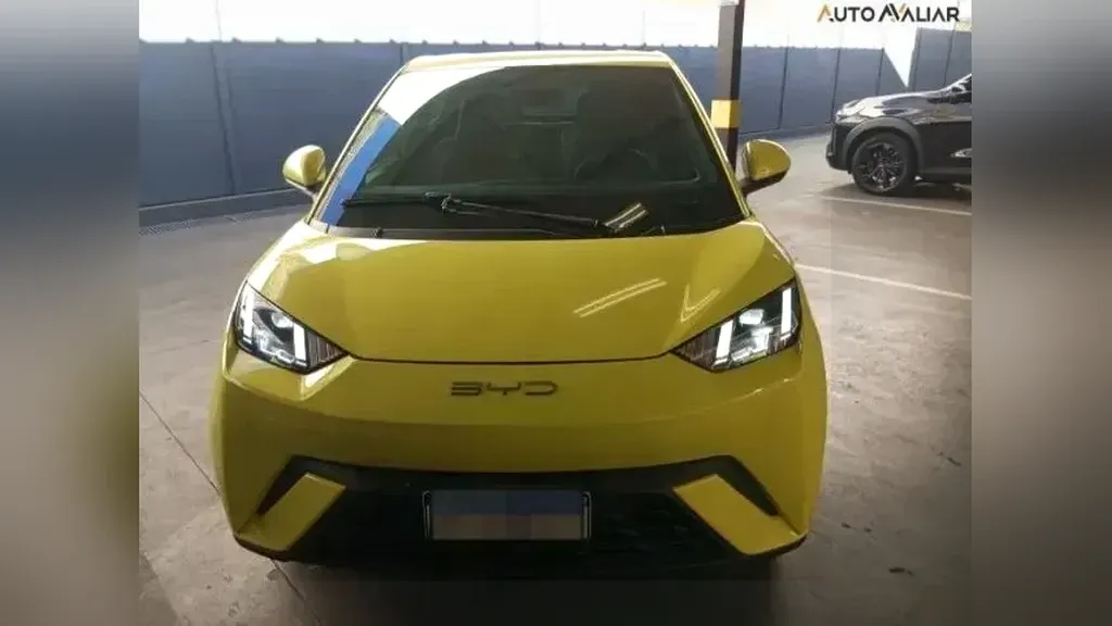 Foto de um byd dolphin mini
