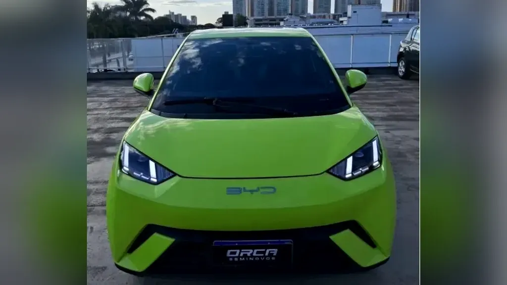 Foto de um byd dolphin