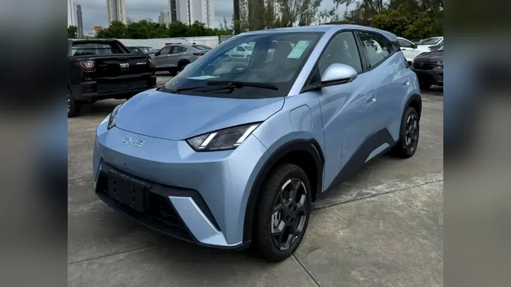 Foto de um byd dolphin mini