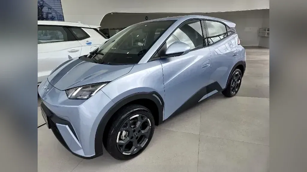 Foto de um byd dolphin mini