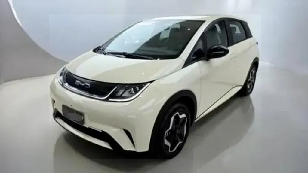 Foto de um byd dolphin plus