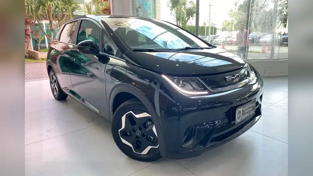 Foto de um byd dolphin