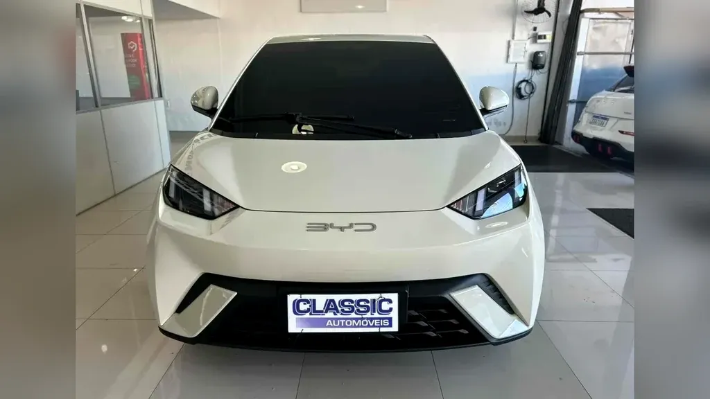 Foto de um byd dolphin mini