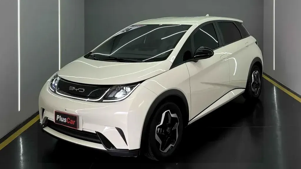 Foto de um byd dolphin