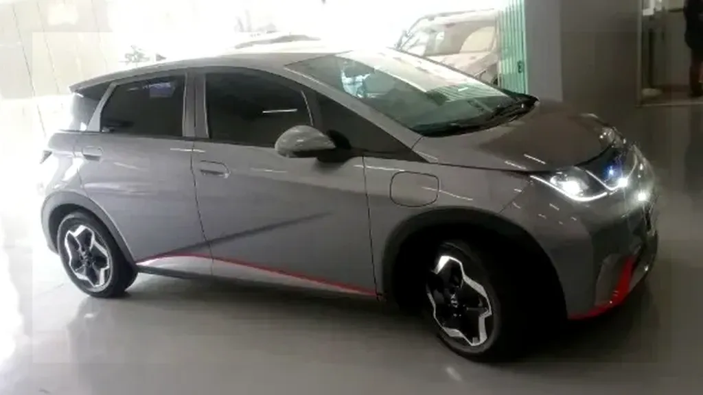 Foto de um byd dolphin