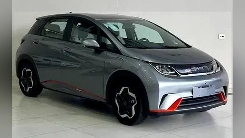 Foto de um byd dolphin