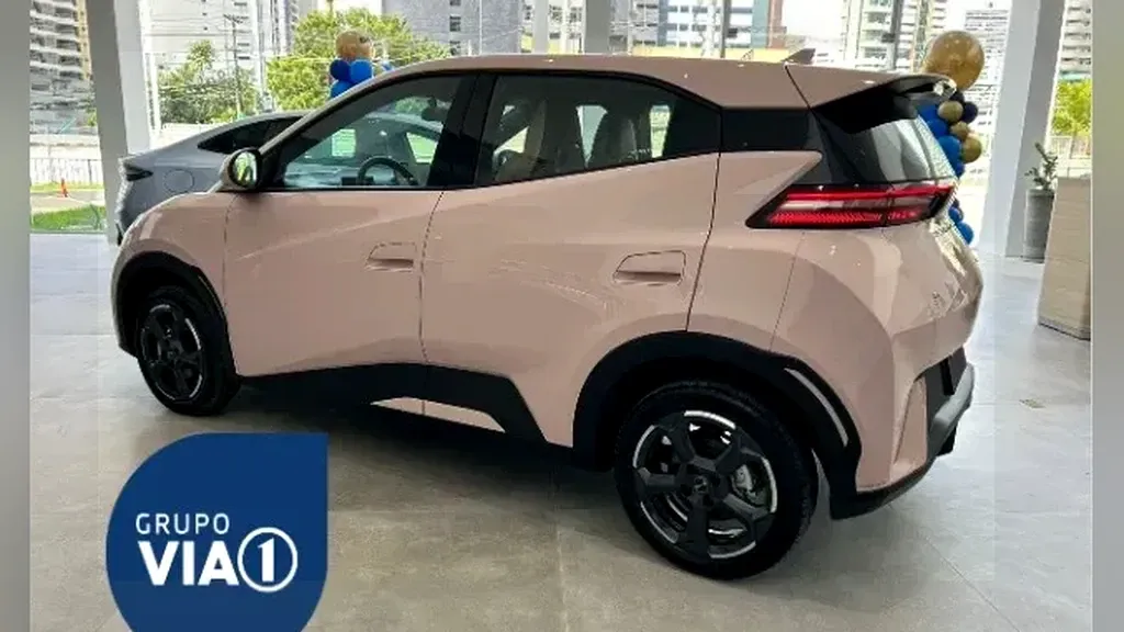 Foto de um byd dolphin mini