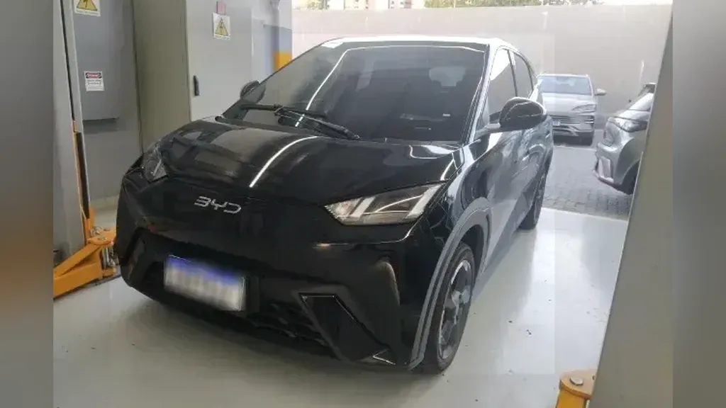 Foto de um byd dolphin mini