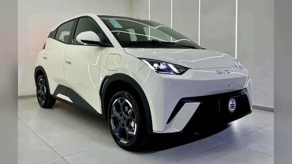 Foto de um byd dolphin mini