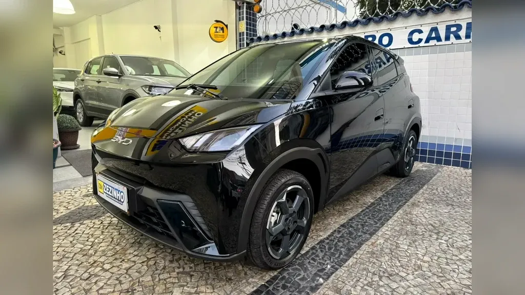 Foto de um byd dolphin mini