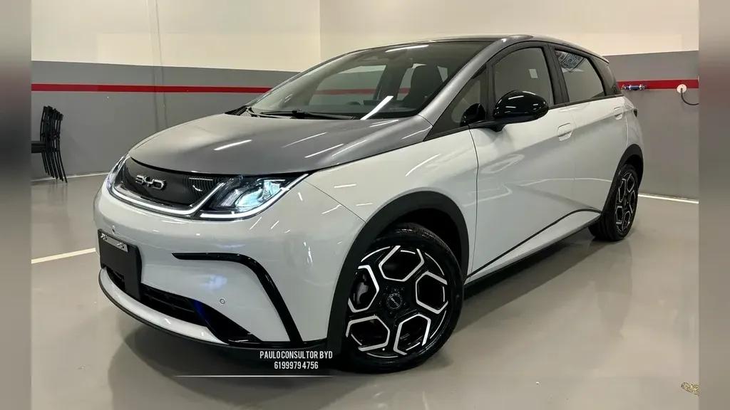 Foto de um byd dolphin