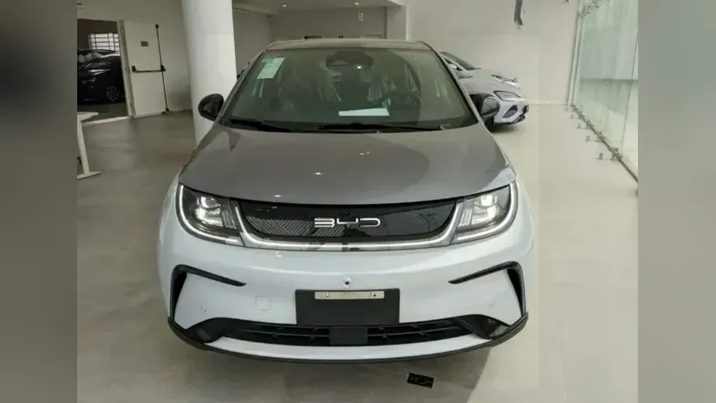 BYD Dolphin Plus