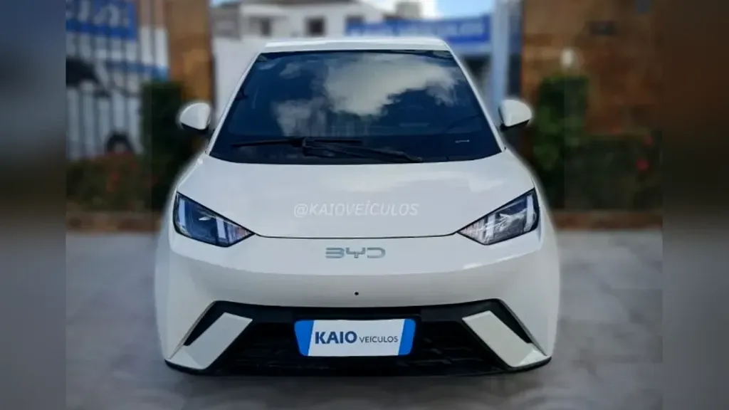 Foto de um byd dolphin mini