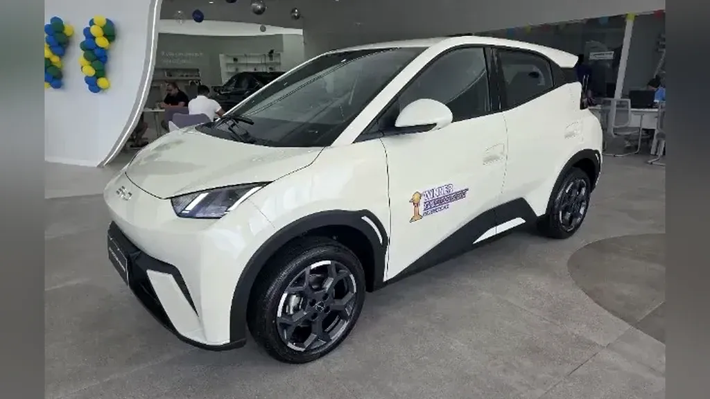 Foto de um byd dolphin mini