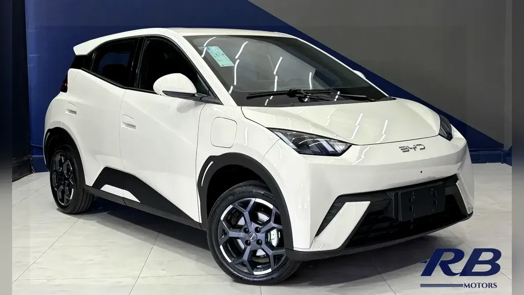 Foto de um byd dolphin mini