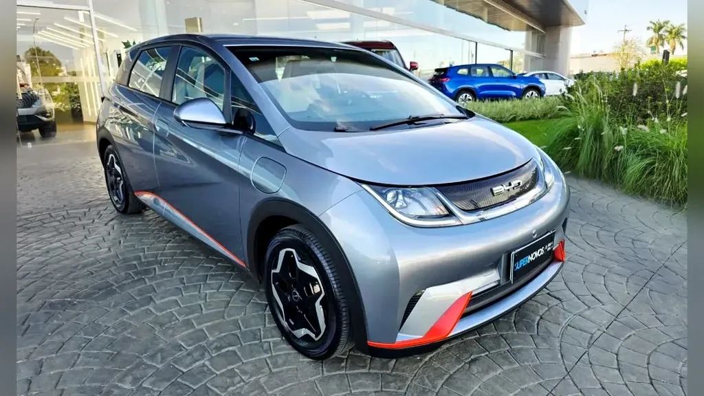 Foto de um byd dolphin