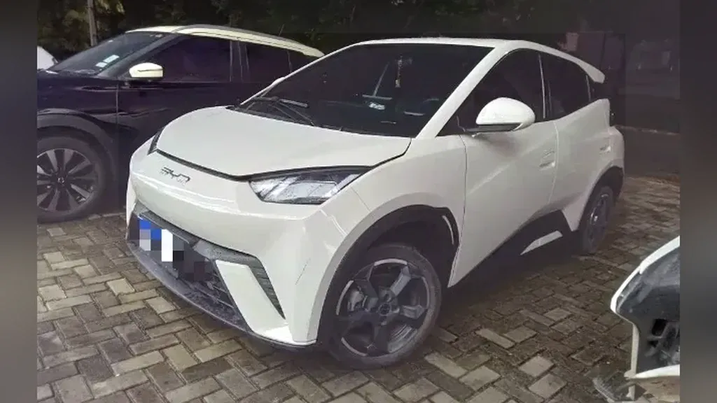 Foto de um byd dolphin mini