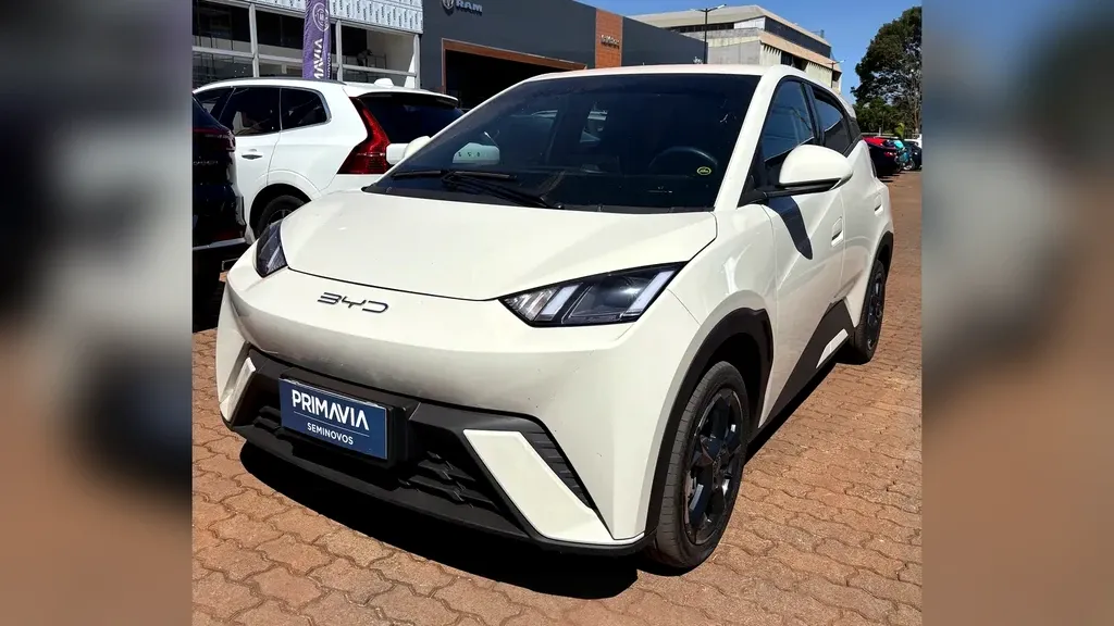 BYD Dolphin Mini