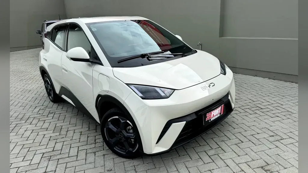 BYD Dolphin Mini