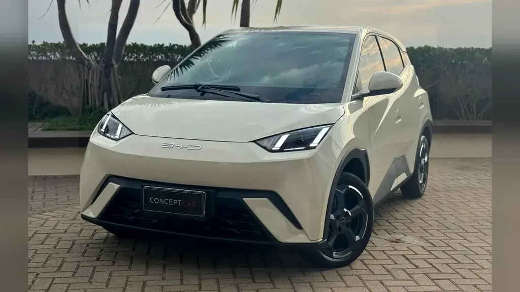 BYD Dolphin Mini