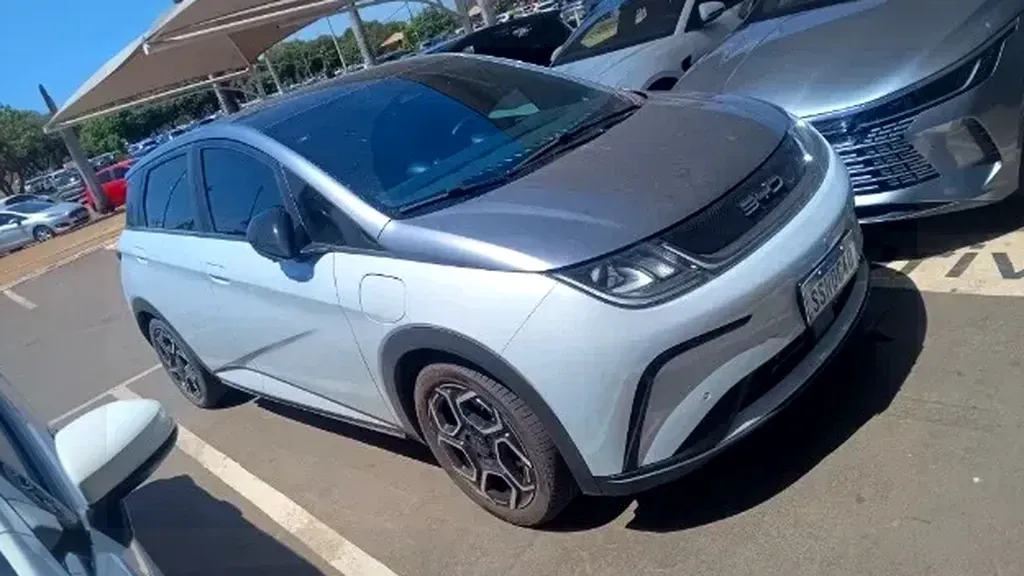 BYD Dolphin Plus