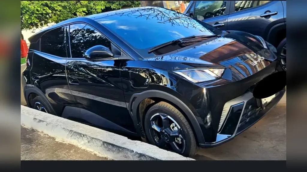 BYD Dolphin