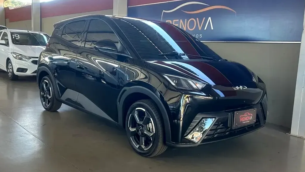 BYD Dolphin Mini