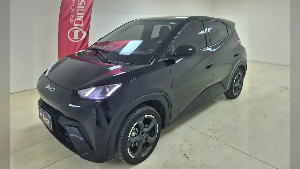 BYD Dolphin Mini