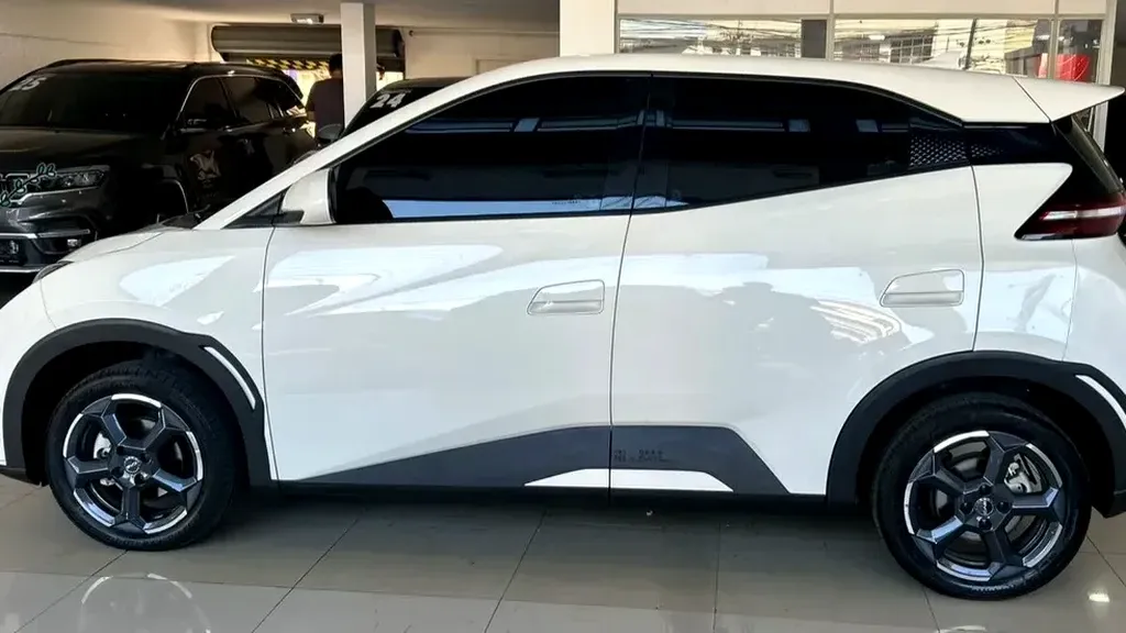 BYD Dolphin Mini