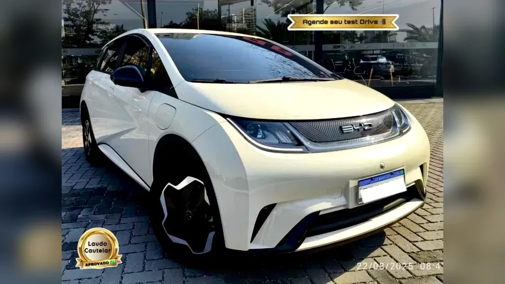 BYD Dolphin