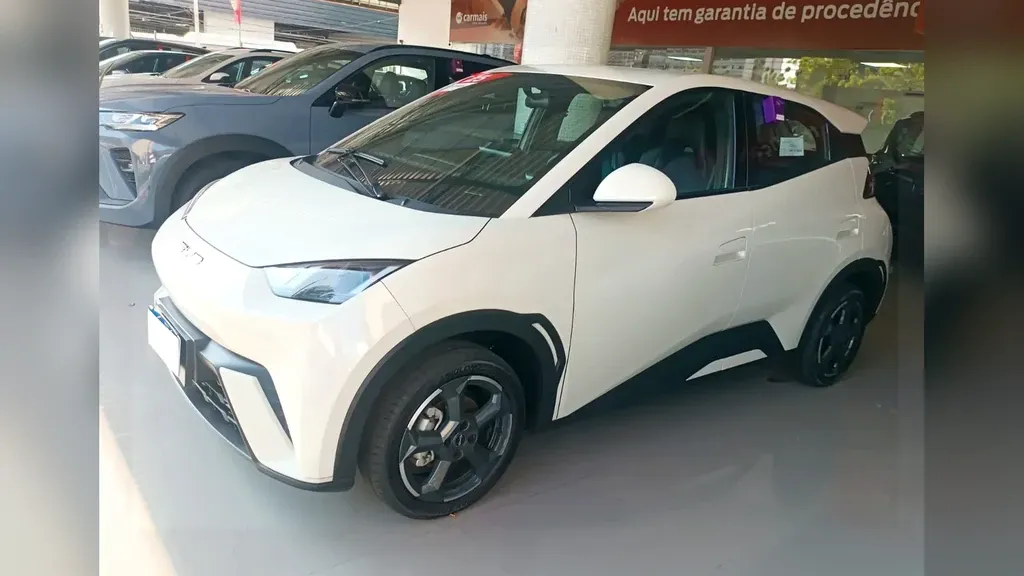 Foto de um byd dolphin mini