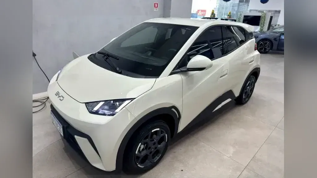 BYD Dolphin Mini