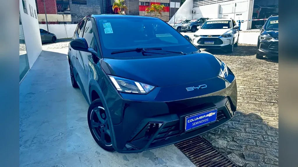 BYD Dolphin Mini
