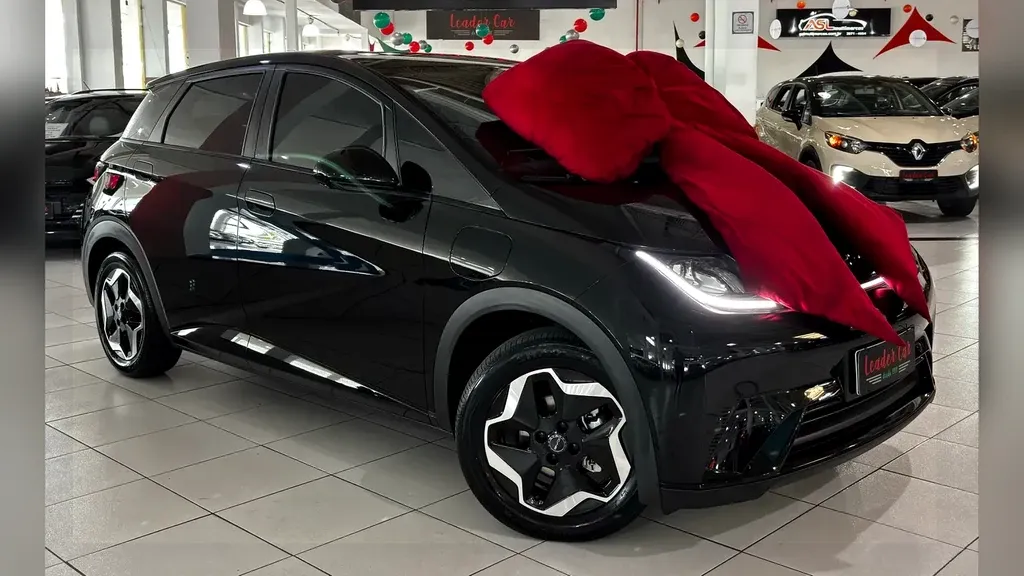 BYD Dolphin