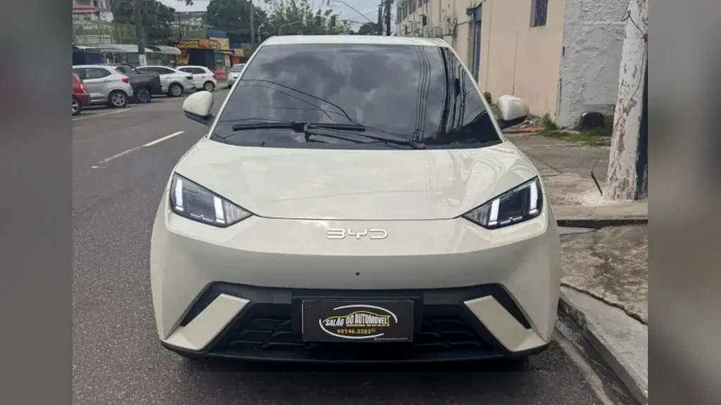 BYD Dolphin Mini