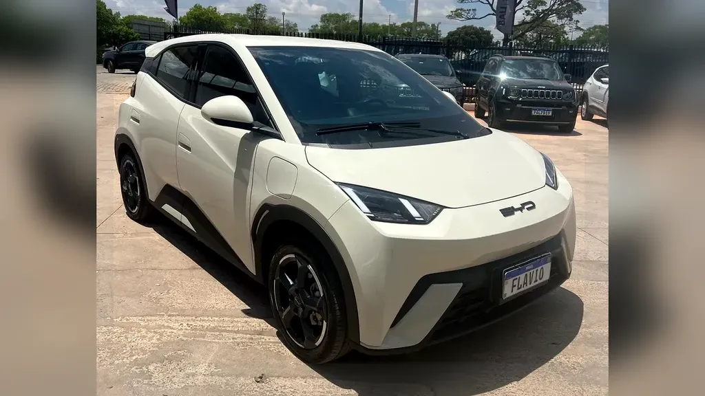 BYD Dolphin Mini