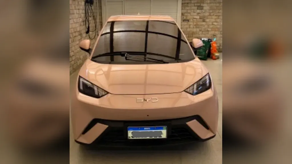 BYD Dolphin Mini