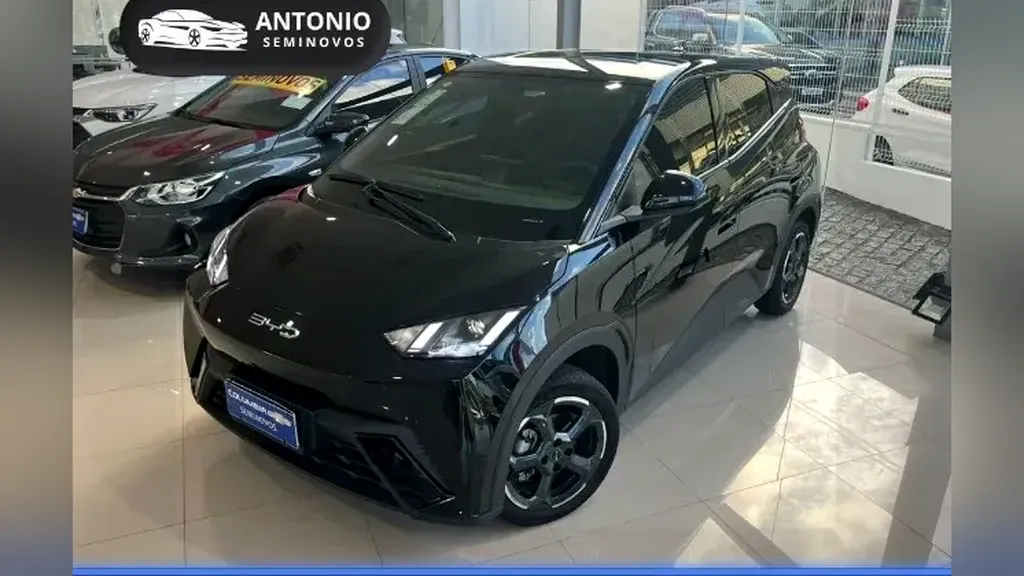 BYD Dolphin Mini