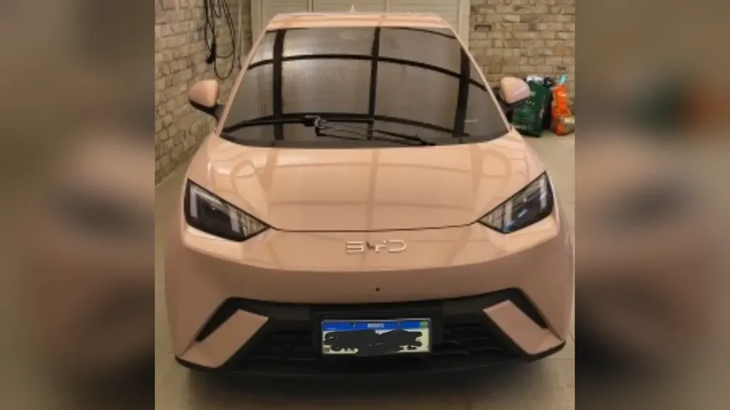 BYD Dolphin Mini