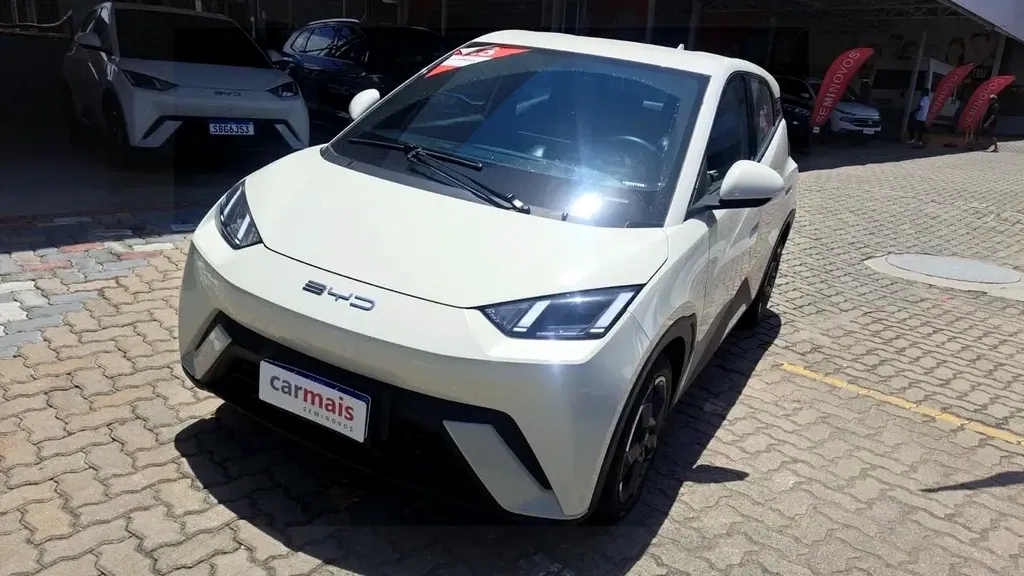 Foto de um byd dolphin mini