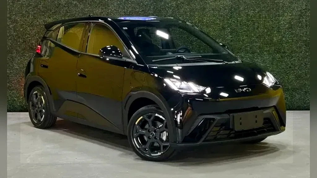 Foto de um byd dolphin mini