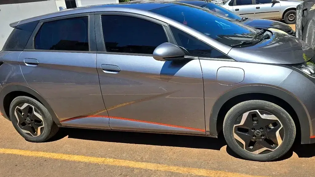 Foto de um byd dolphin