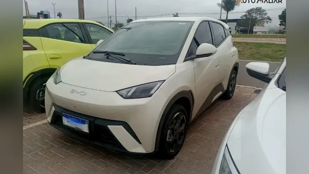 Foto de um byd dolphin mini